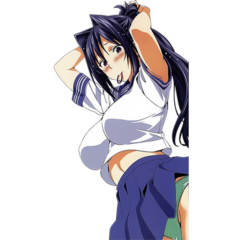 Masou Gakuen HxH Hayuru Himekawa Dakimakura Cover (Anime Toy